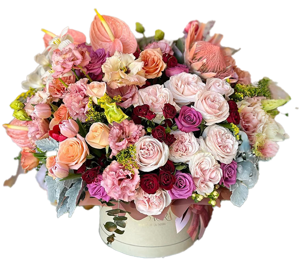 Slider-Inicio-Imagen Flores